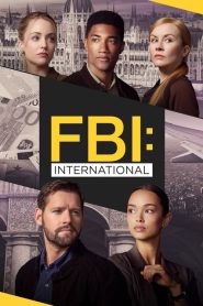 ФБР: За границей: 3 сезон